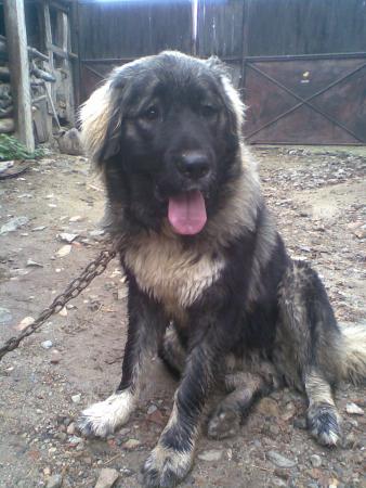 Прикачена снимка