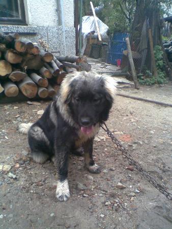 Прикачена снимка