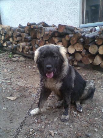 Прикачена снимка