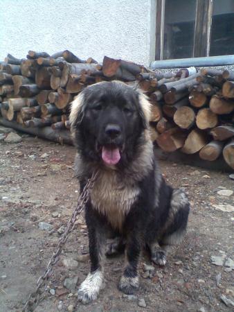 Прикачена снимка