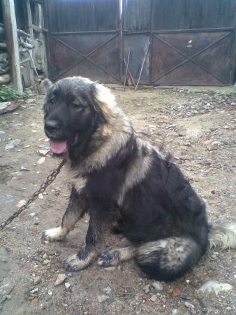 Прикачена снимка