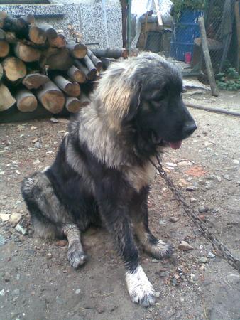 Прикачена снимка