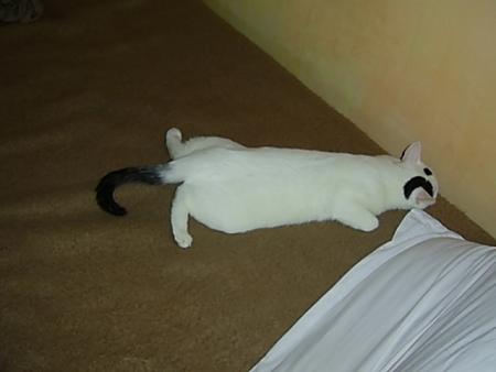 Прикачена снимка
