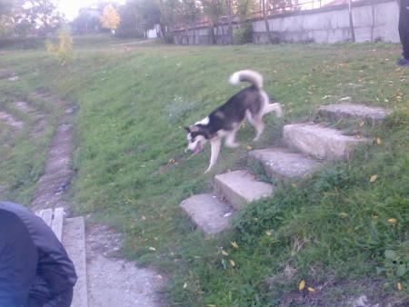 Прикачена снимка
