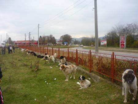 Прикачена снимка