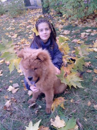Прикачена снимка