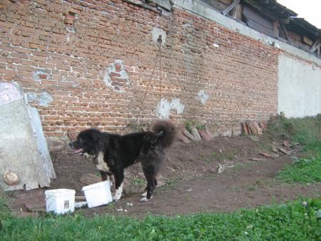 Прикачена снимка