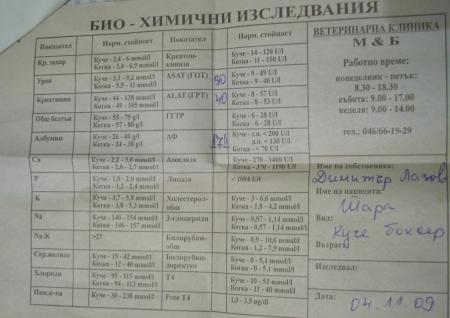 Прикачена снимка