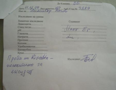 Прикачена снимка