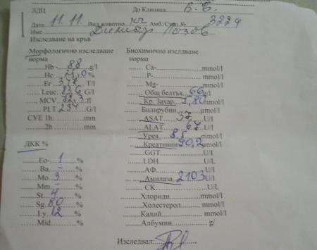Прикачена снимка