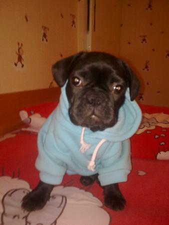 Прикачена снимка