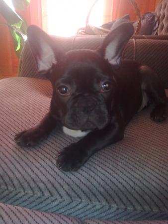 Прикачена снимка