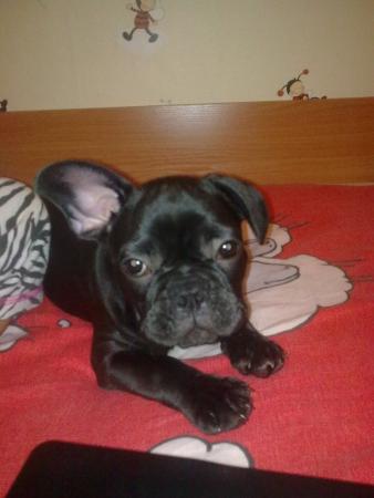 Прикачена снимка