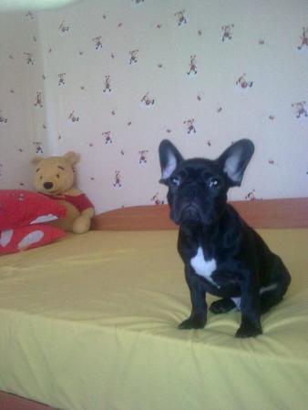 Прикачена снимка