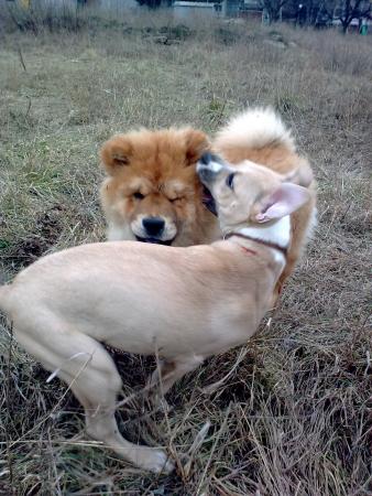 Прикачена снимка