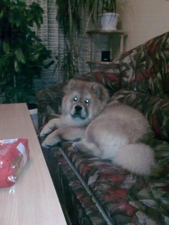 Прикачена снимка