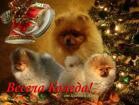 Прикачена снимка