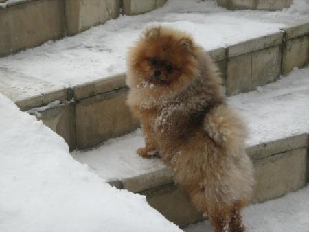 Прикачена снимка