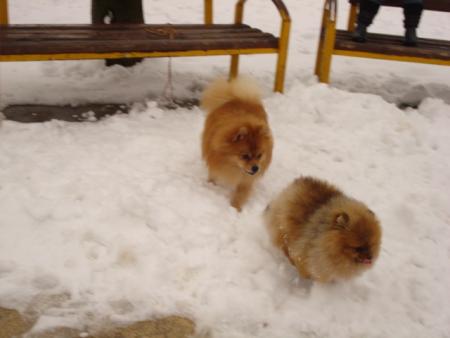 Прикачена снимка