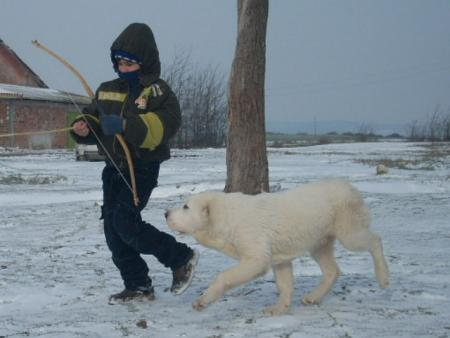 Прикачена снимка