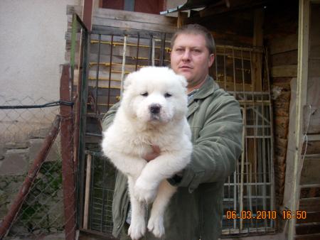 Прикачена снимка
