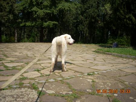Прикачена снимка