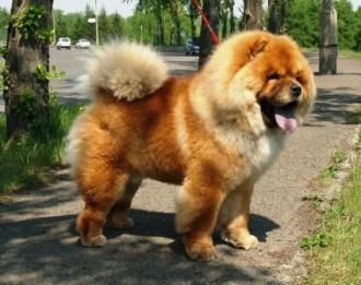 Прикачена снимка