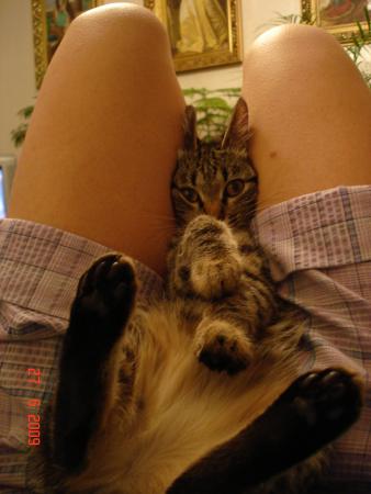 Прикачена снимка