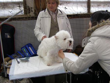 Прикачена снимка