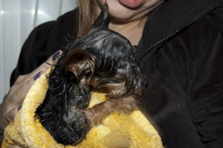 Прикачена снимка