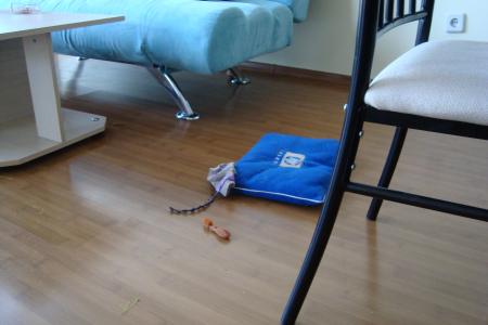 Прикачена снимка