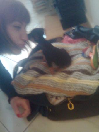Прикачена снимка