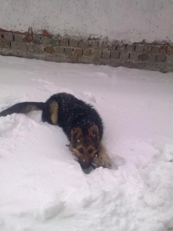 Прикачена снимка