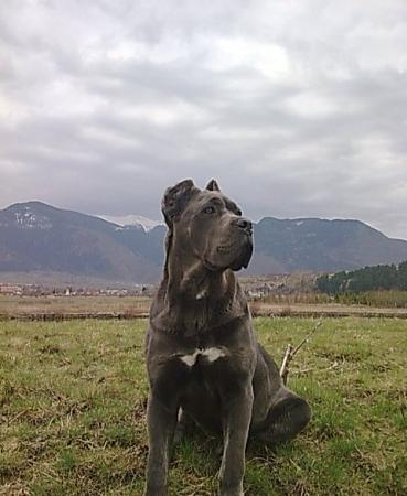 Прикачена снимка