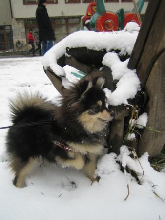 Прикачена снимка