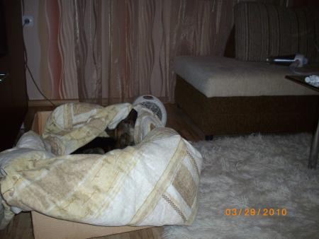 Прикачена снимка