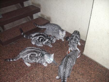 Прикачена снимка