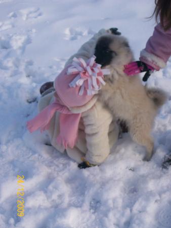 Прикачена снимка