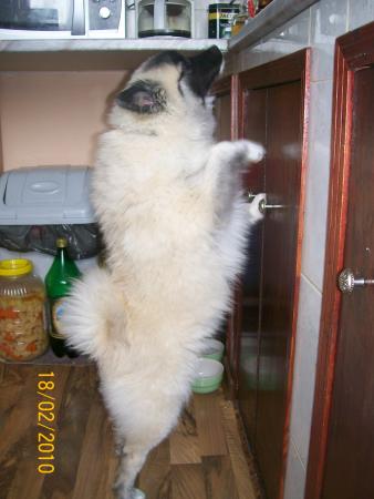 Прикачена снимка