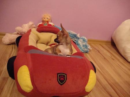 Прикачена снимка