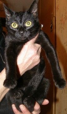 Прикачена снимка