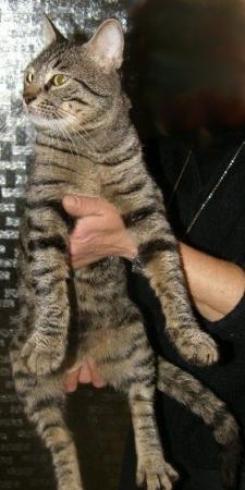 Прикачена снимка