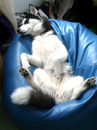 Прикачена снимка
