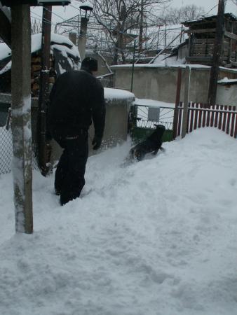 Прикачена снимка