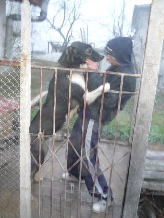 Прикачена снимка