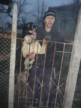 Прикачена снимка