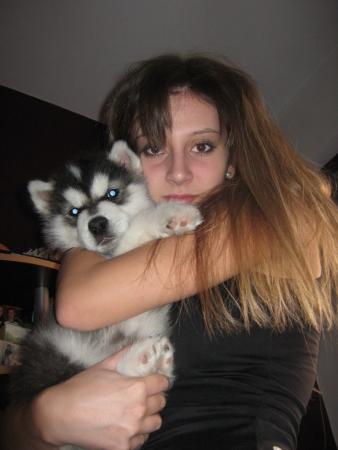 Прикачена снимка