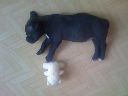 Прикачена снимка