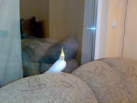 Прикачена снимка