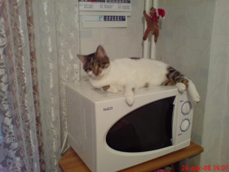 Прикачена снимка